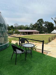 Dnamie Glamping - Lux Tent - 9