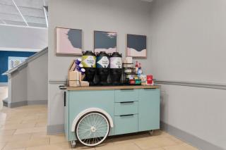 Spark by Hilton Orlando near SeaWorld - 3