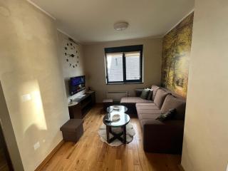 Apartman Istra 23 Titova Villa Zlatibor - 6