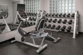 Spark By Hilton Lansing - 3