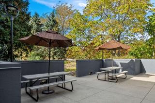 Spark By Hilton Stevensville - 7