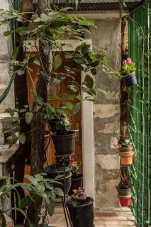 Adriana Downtown Guesthouse - 1