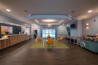 Spark by Hilton Brandon - 6