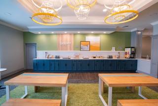 Spark by Hilton Brandon - 4