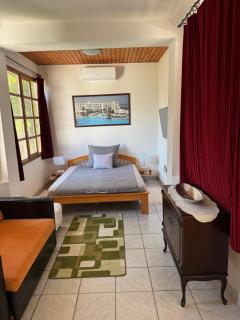 Szárszó Apartment with 3 rooms and PRIVATE BEACH, PRIVATE PARKING - 8