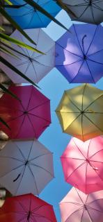 Cores de Boipeba - 3