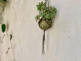 Casa aconchegante e com quintal privativo - 5