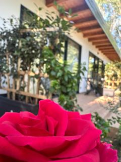 Frenki'S Residence - 4