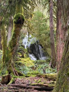 Eagles Nest - epic blufftop cabin Squamish - 2