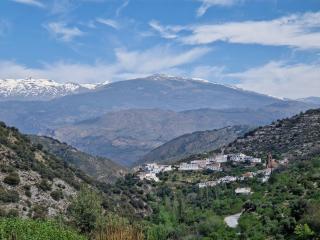 The Retreat, Alcazar - 8