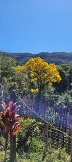 Casa Cor Tiradentes - 6