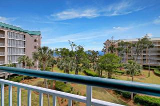 Ocean Views Immaculate Windsor Court Villa - Hilton Head Island - 7