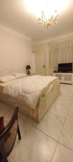 شقق سكنيه علي النيل - 9