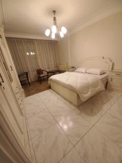 شقق سكنيه علي النيل - 3