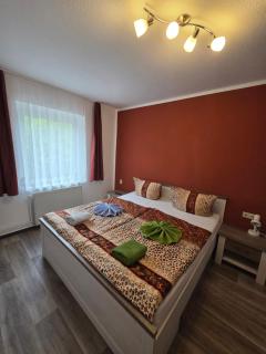 Haflingerhof Noack - 5