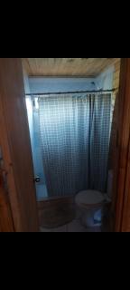 Cabañas Oasis 2, Radal 7 tazas - 1