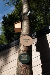 't Veluws Nest - Knus Chalet Veluwe - Hoenderloo, Honden welkom - Hoenderloo - 9