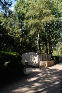 't Veluws Nest - Knus Chalet Veluwe - Hoenderloo, Honden welkom - 0