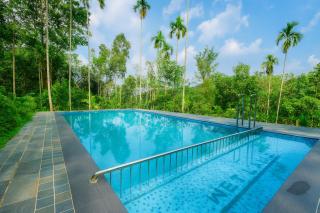 Wetlands Wayanad Pool Resort with Natural Waterfalls - Padinjarathara - 7