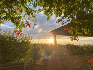 Maison verdoyante et piscine - 7