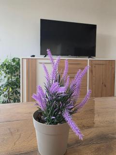 Apartman LAVANDA - Teslić - 8