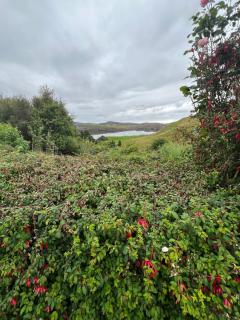 The Cornish House - 3