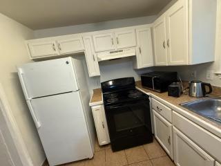 Springtime apartment - San Antonio - 4