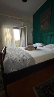 Themis Apartment in Athens - Court Area - 0