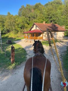 Ranch Jajce - 4