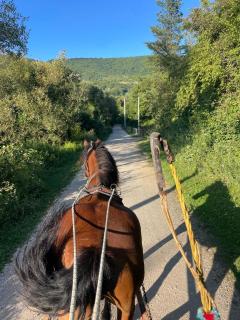 Ranch Jajce - 3