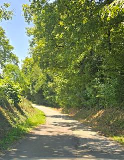 Kuća za odmor Mia - Gornja Gračenica - 6