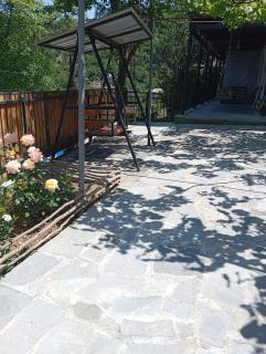 Borjomi forest - Borjomi - 9