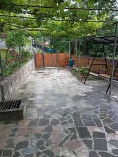 Borjomi forest - Borjomi - 3