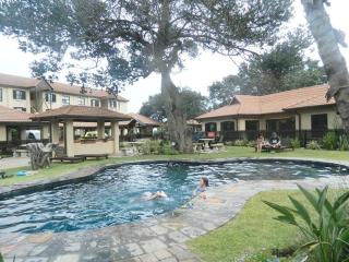 Sea views at 64 Bondi Beach - 3