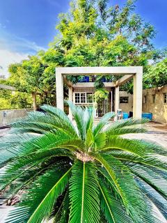 Green Canopy Mini Villa - Negombo - 9