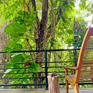 Green Canopy Mini Villa - Negombo - 8
