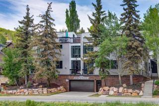 Sunspot 625-A4 by Moose Management - 5