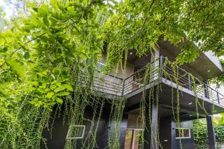 Green Canopy Mini Villa - Negombo - 0