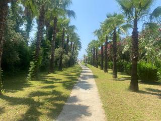 Deniz Manzaralı - 3