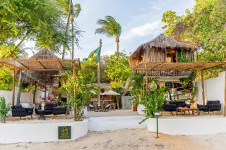 Treehouse Jericoacoara - 0