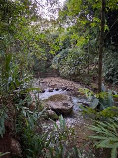 Shamballa - Aroeira - 4