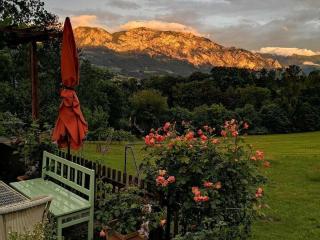 One-bedroom apartment - Nussdorf am Attersee - 4