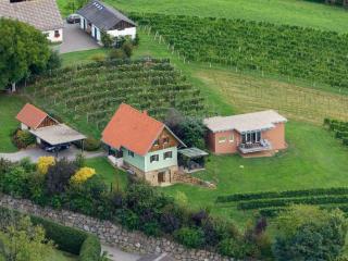 Holiday home in the vineyard The Vineyard - Fehring - 8