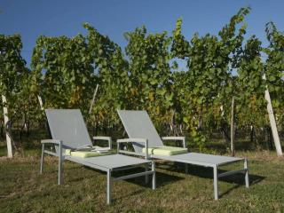 Holiday home in the vineyard Das Nussberg - Fehring - 4