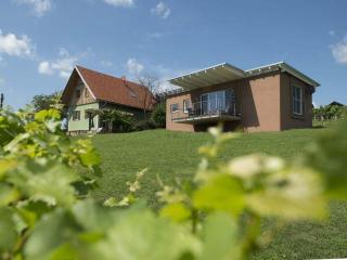 Holiday home in the vineyard Das Nussberg - 8