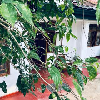 Ku'Vana Hostel Kandy - 6