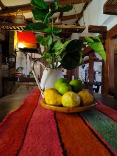 Casa Alquimia La Cabaña - 1