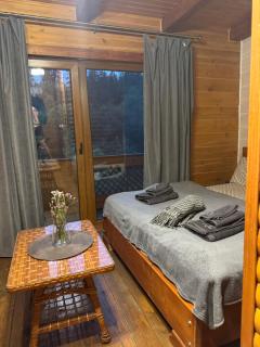 Близнюки Готель - 6