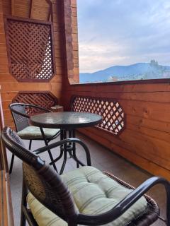 Близнюки Готель - 2