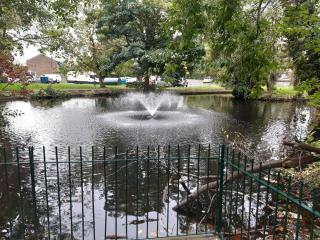 Green Woods Lovely 1 Bed Apt in Blackheath Village - Londra - 7